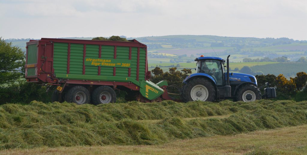 Image source: Shane Casey