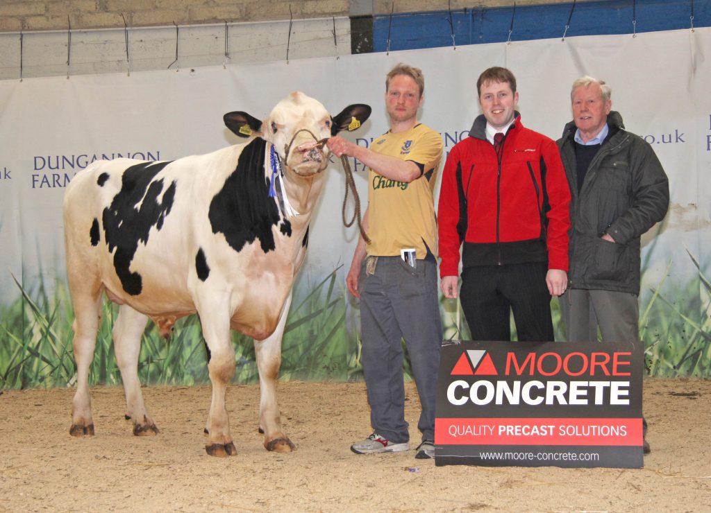 Adam Watson, Macosquin, exhibited the reserve champion bull Derrydorragh Righteous Brother ET PLI £308. Also included are Jeff Haslett, Moore Concrete, sponsor; and judge James Walker, Randalstown