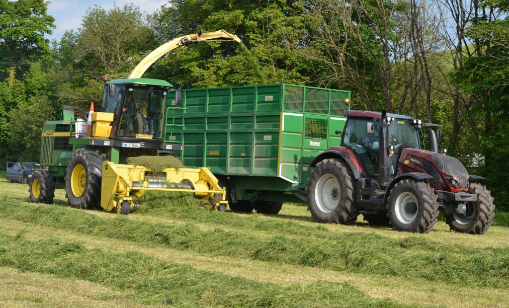 Image source: Shane Casey