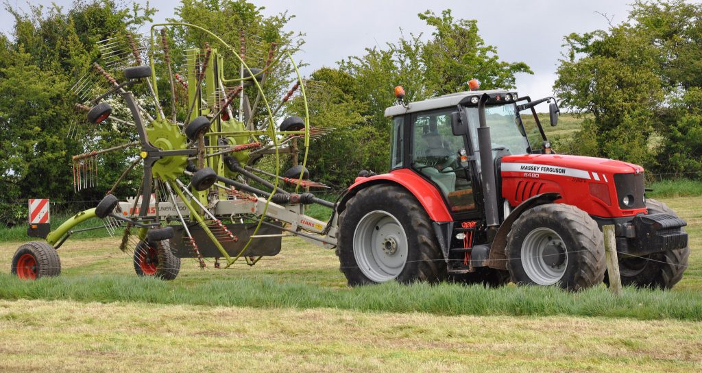 Image source: Shane Casey