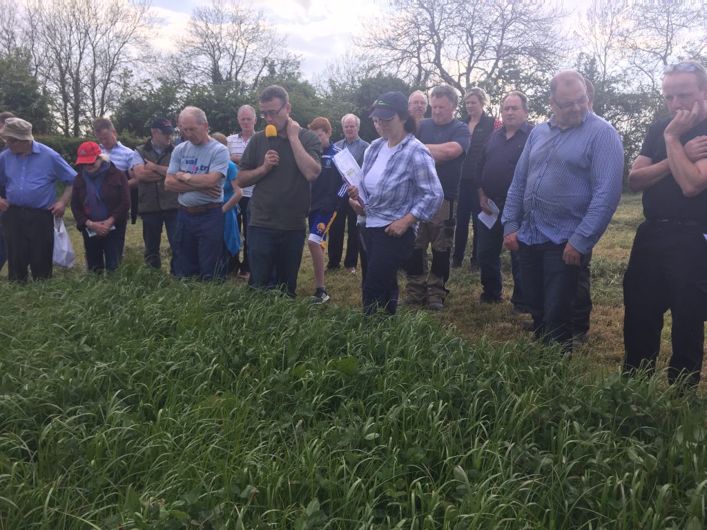 Mark Gillanders and Teagasac’s Elaine Leavy pictured at the farm walk