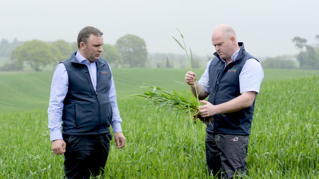 LR: Kevin Nolan, Nolan Farming and John Mulhare, Terrachem