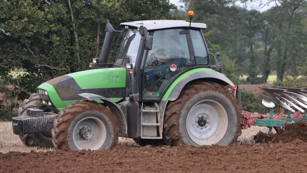 Image source: Shane Casey