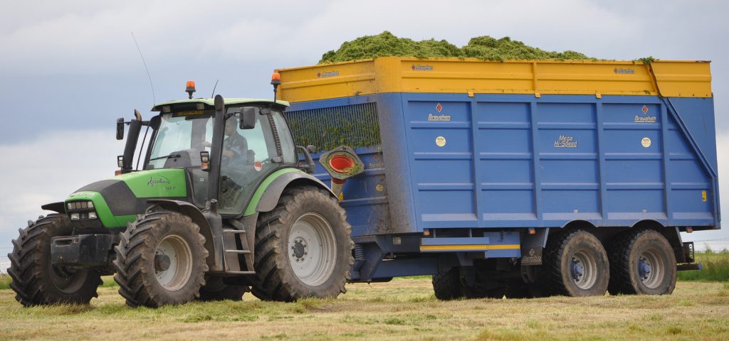 Image source: Shane Casey