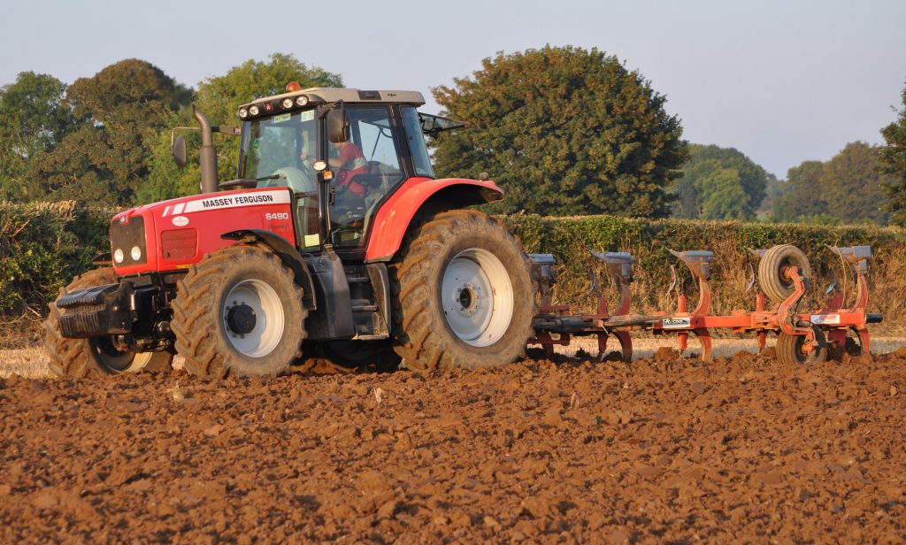 Image source: Shane Casey