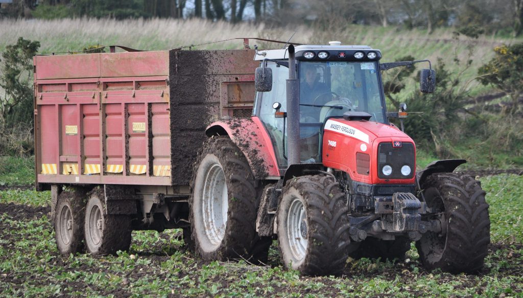 Image source: Shane Casey