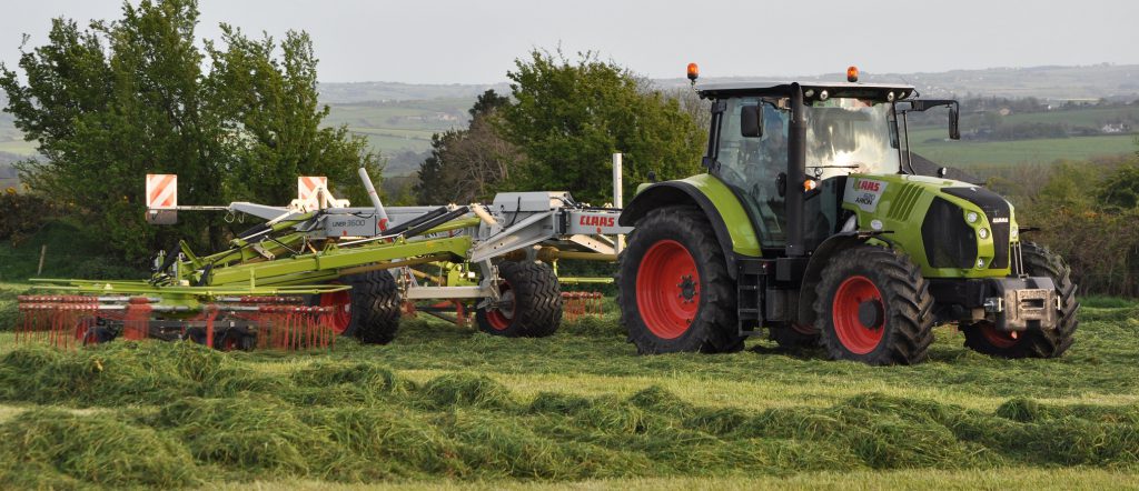 Image source: Shane Casey