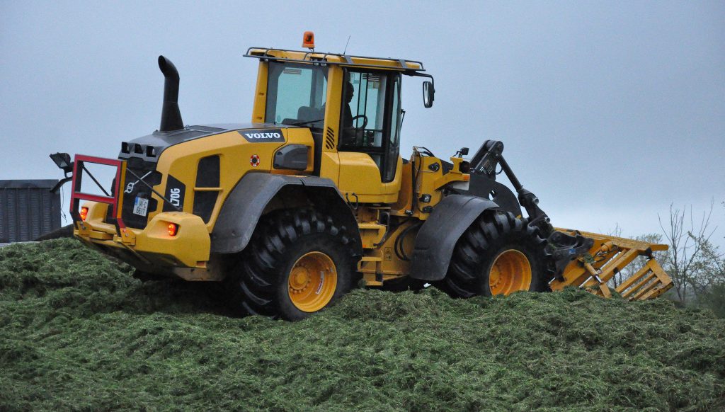 Image source: Shane Casey