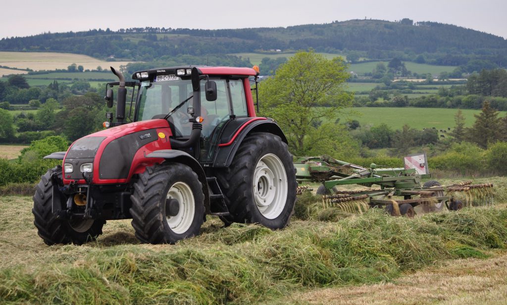 Image source: Shane Casey