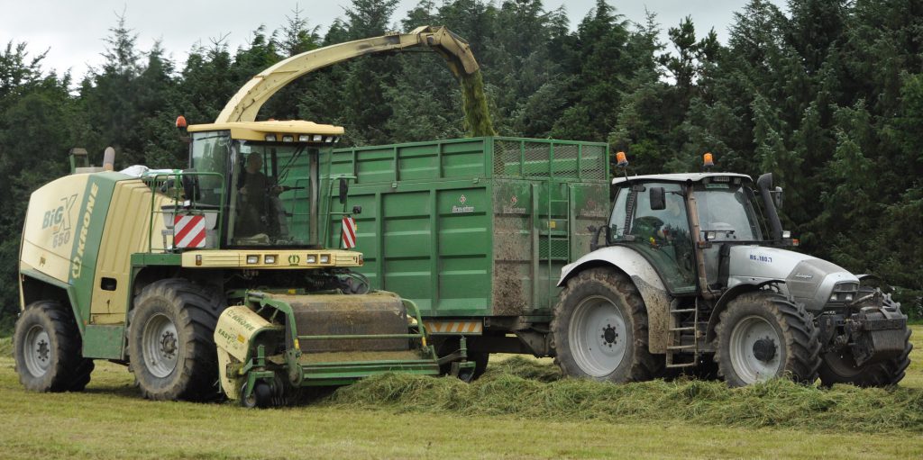 Image source: Shane Casey