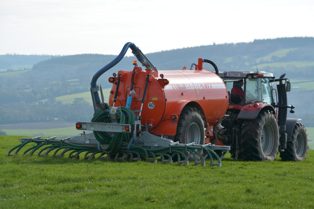 Image source: Shane Casey