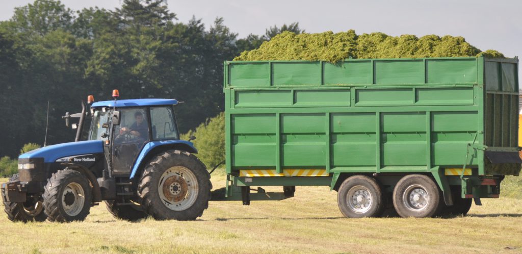 Image source: Shane Casey