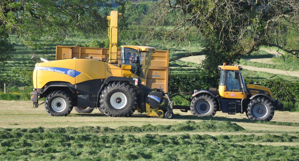 Image source: Shane Casey