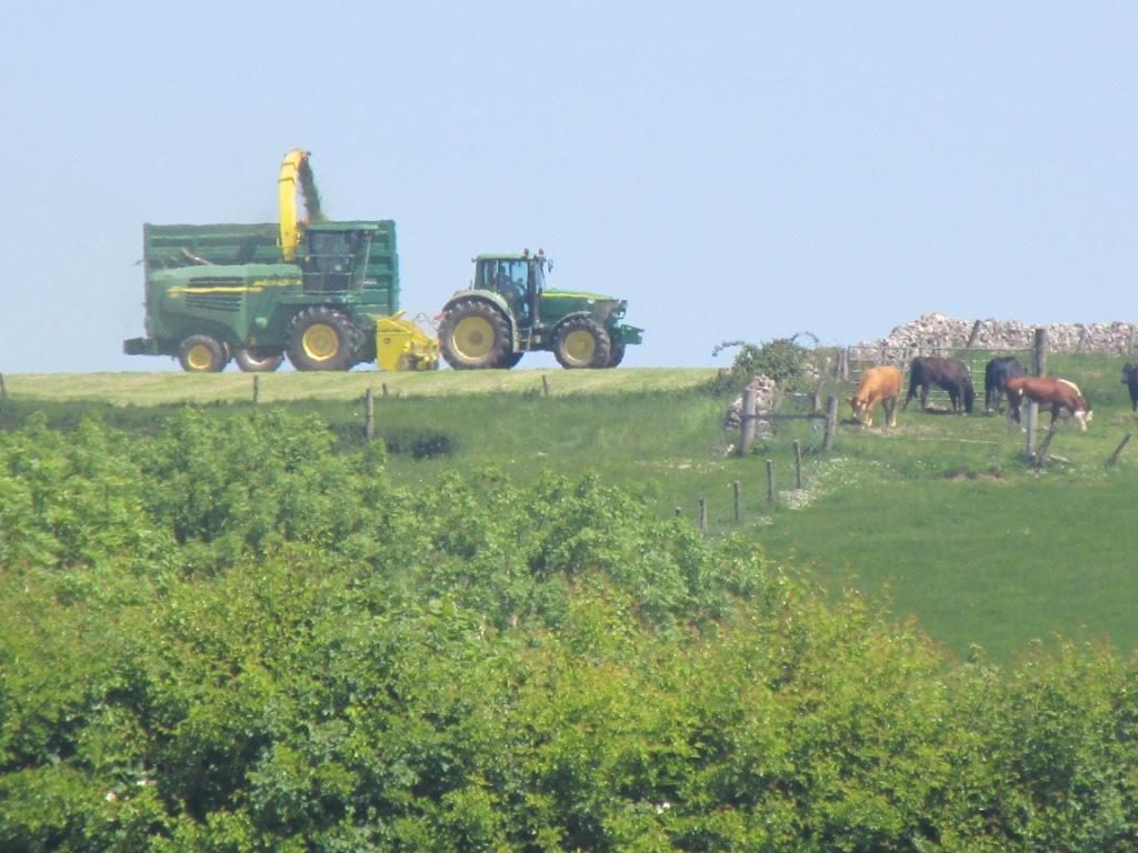 Colette Power, May photo winner