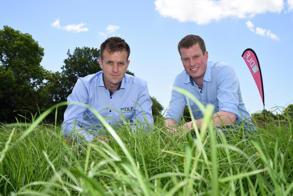 David Hunter (right) only entered dairying four years ago