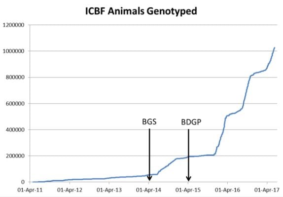 Source: ICBF