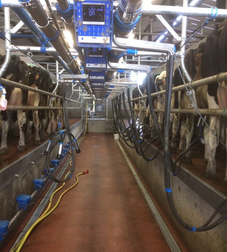 Kinsella’s milking parlour is a work in progress