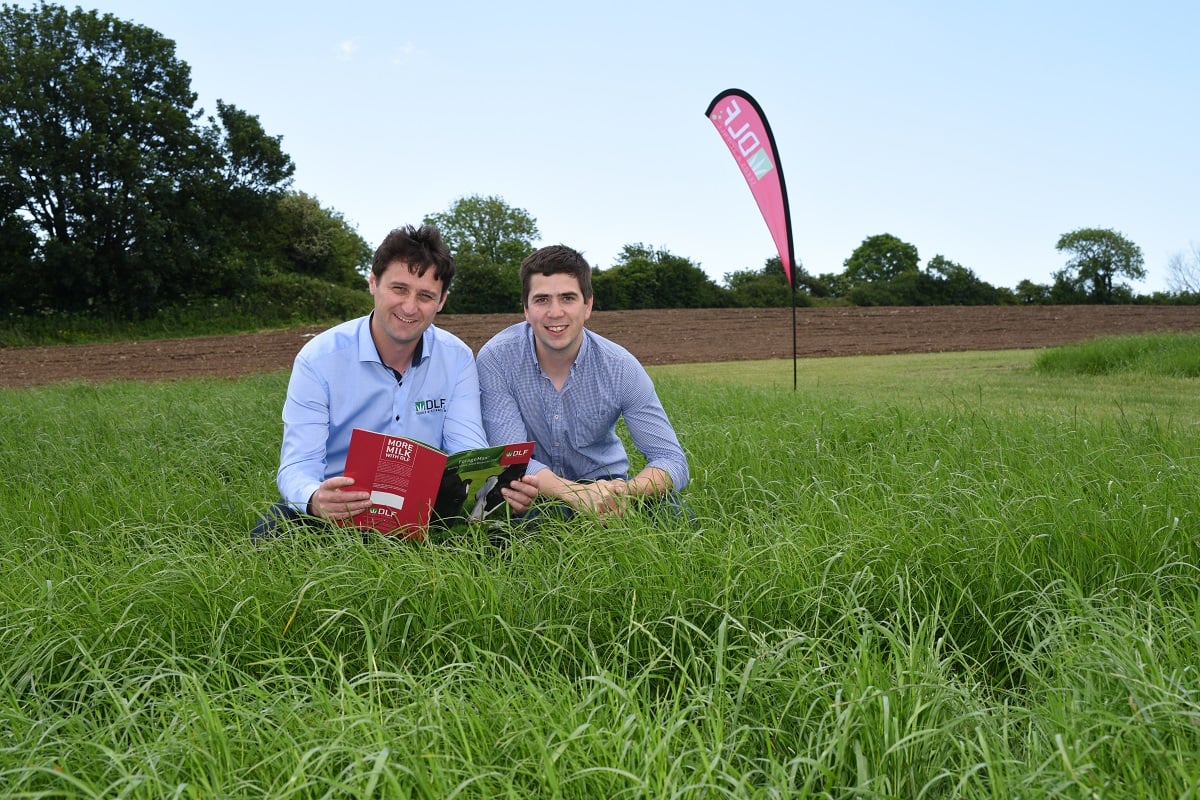 David Thomas (right) is making the switch from beef to dairy