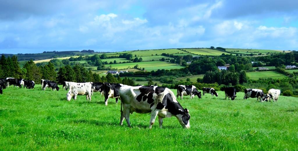 Siobhan Sexton, April photo winner