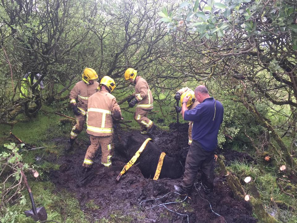Source: NIFRS West