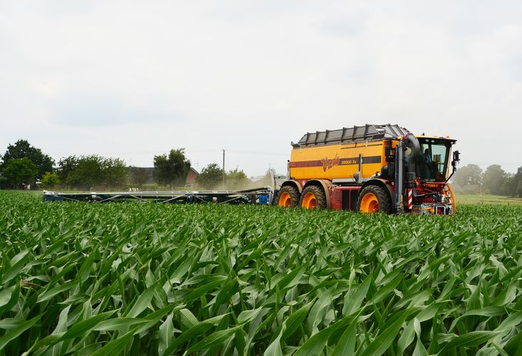 Image source: Vredo