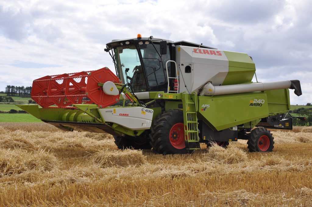 Image source: Shane Casey