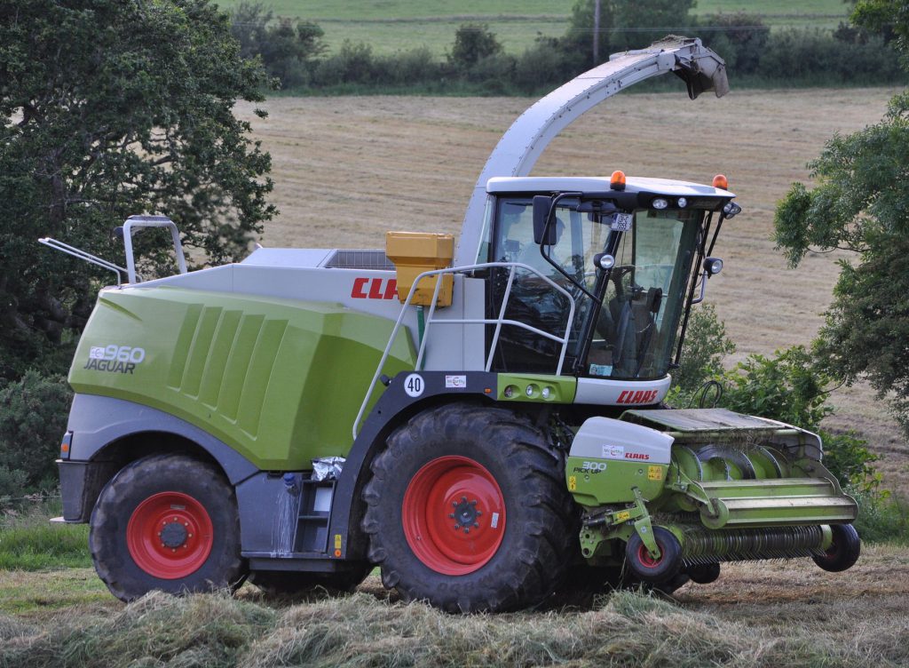 Image source: Shane Casey