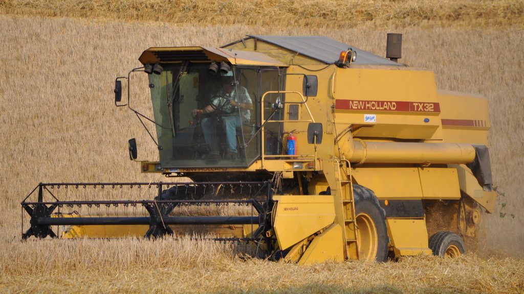 Image source: Shane Casey