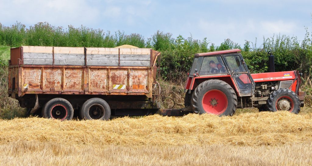 Image source: Shane Casey