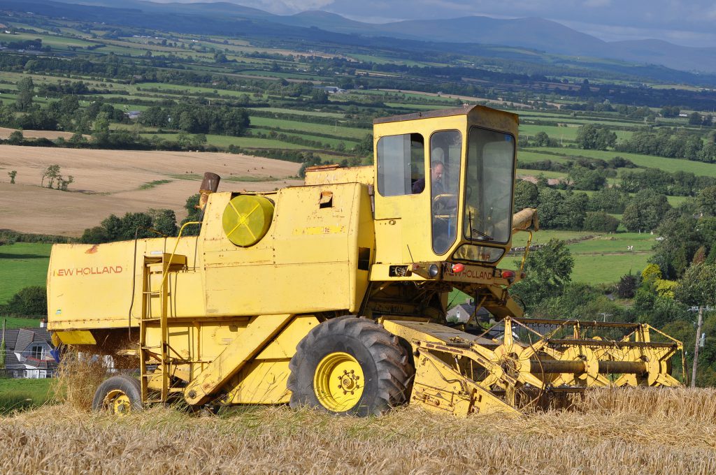 Image source: Shane Casey