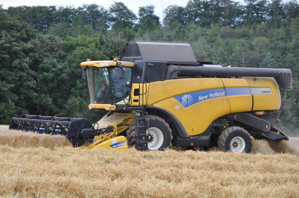 Image source: Shane Casey