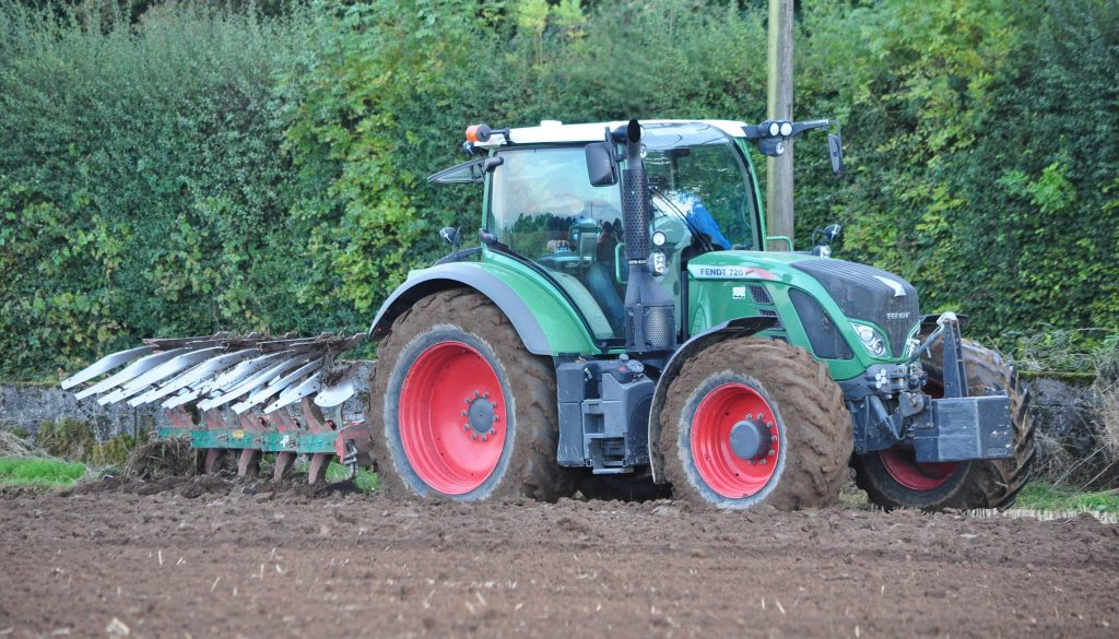 Image source: Shane Casey