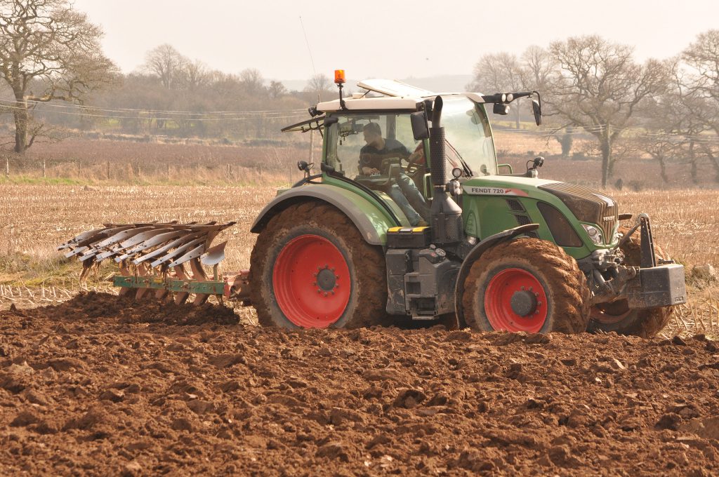 Image source: Shane Casey