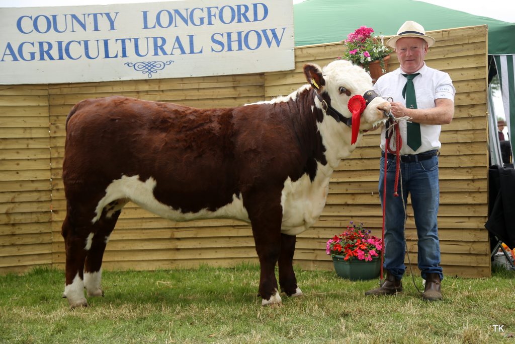 Padraig McGrath takes first in class 47 with his home-bred heifer Kye Ger