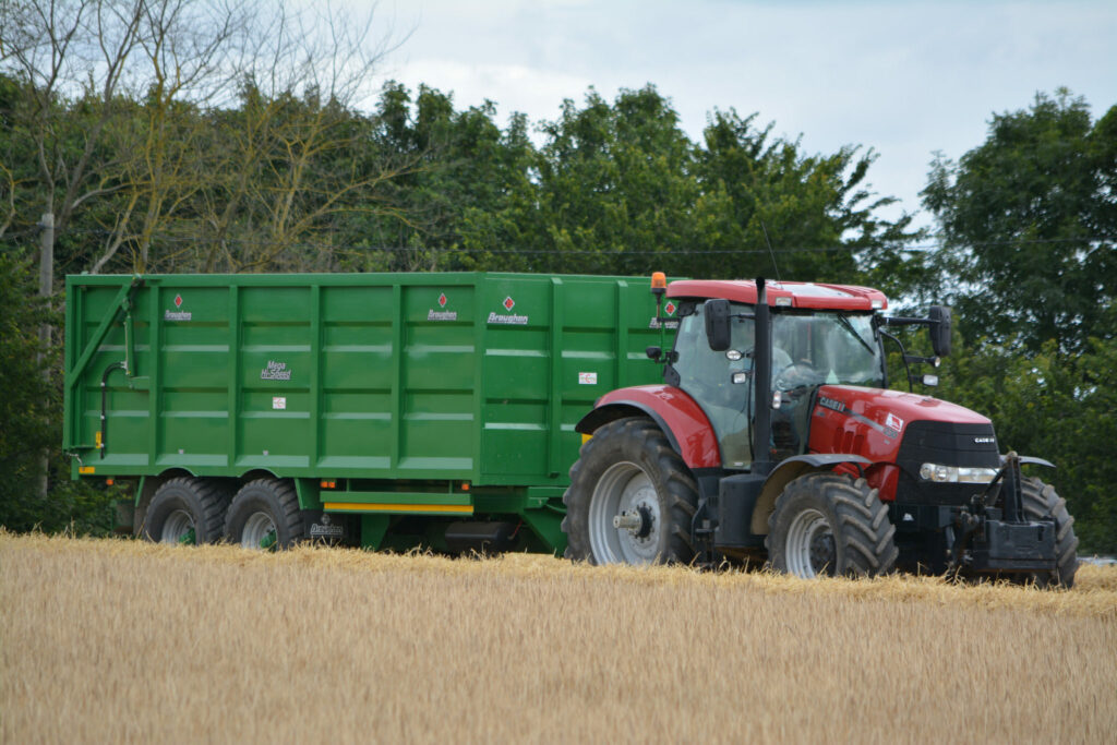 Image source: Shane Casey