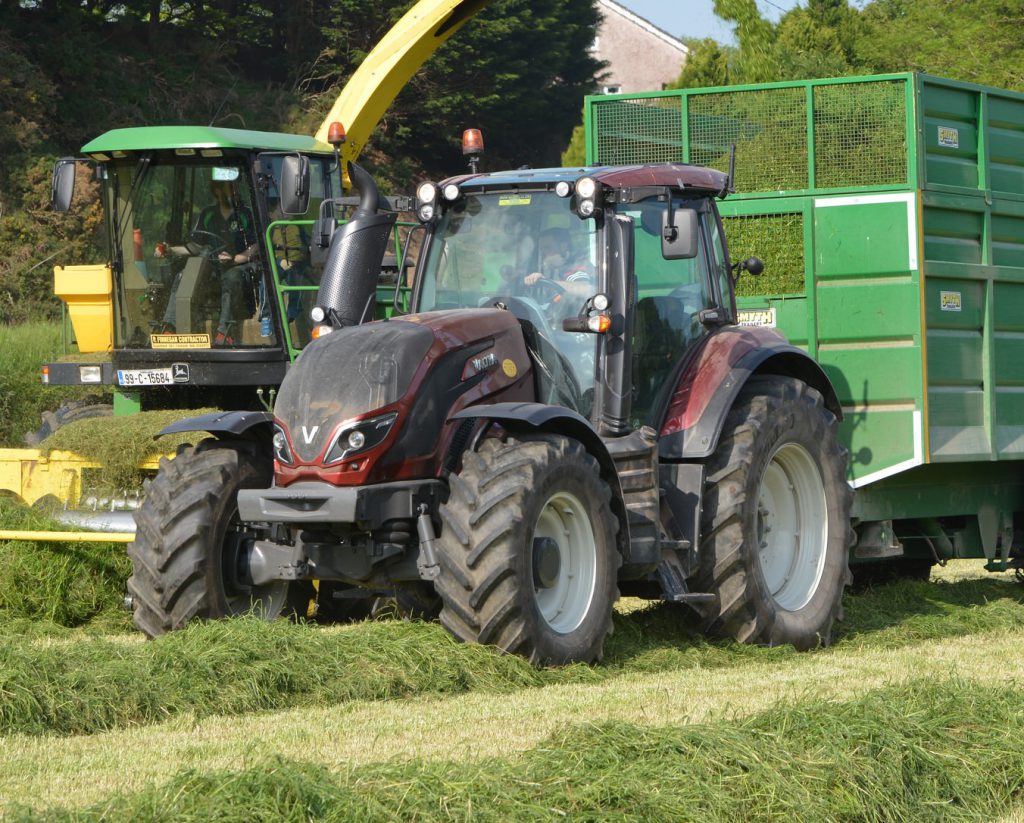 Image source: Shane Casey