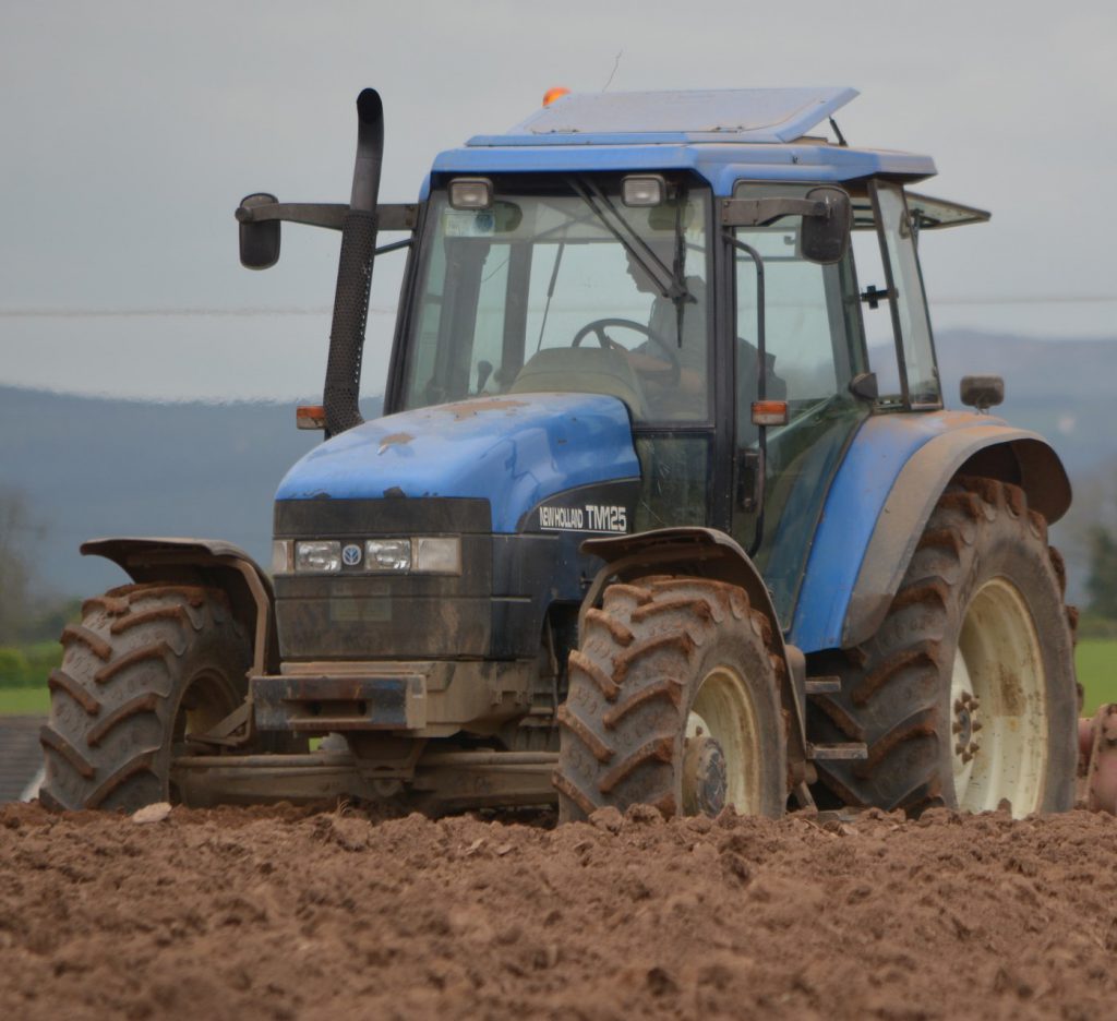 Image source: Shane Casey