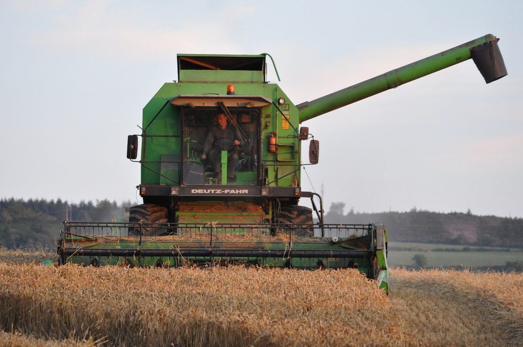 Image source: Shane Casey