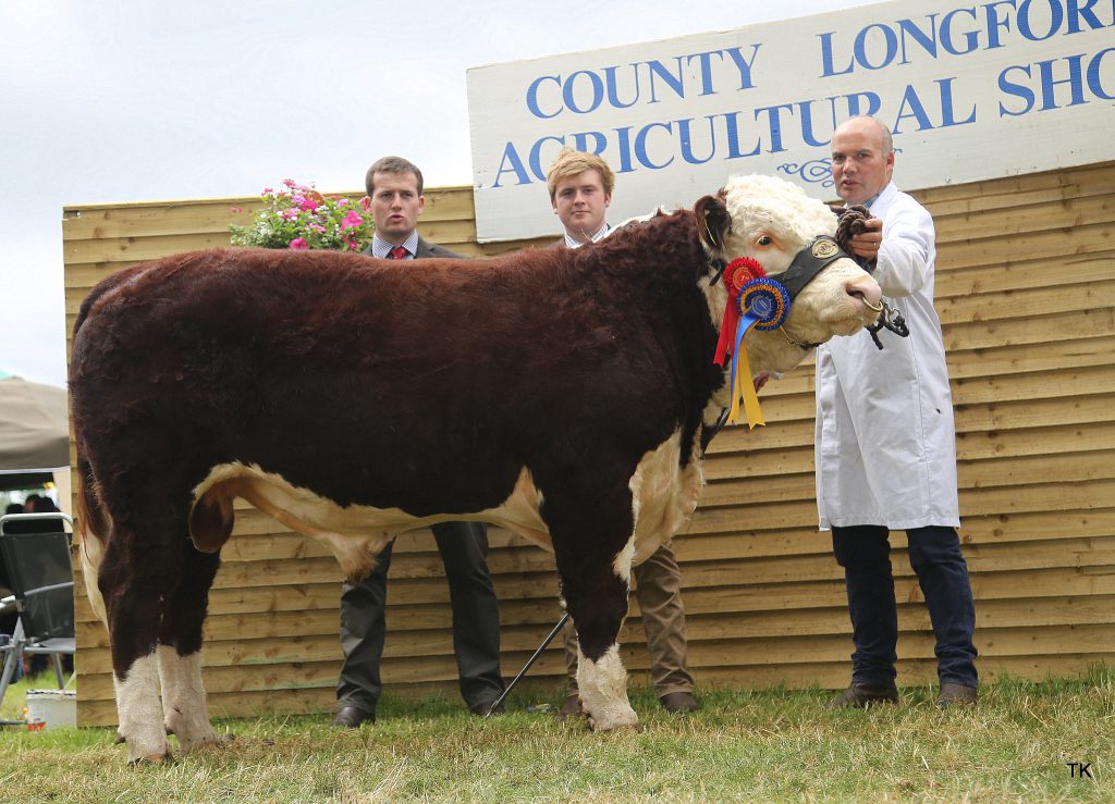 Moyclare Phoenix, winner of class 52 and Reserve Bull Calf Champion at the event, pictured with judges Ben Lewis and Andrew Whitlow and owner Michael Molloy (right)