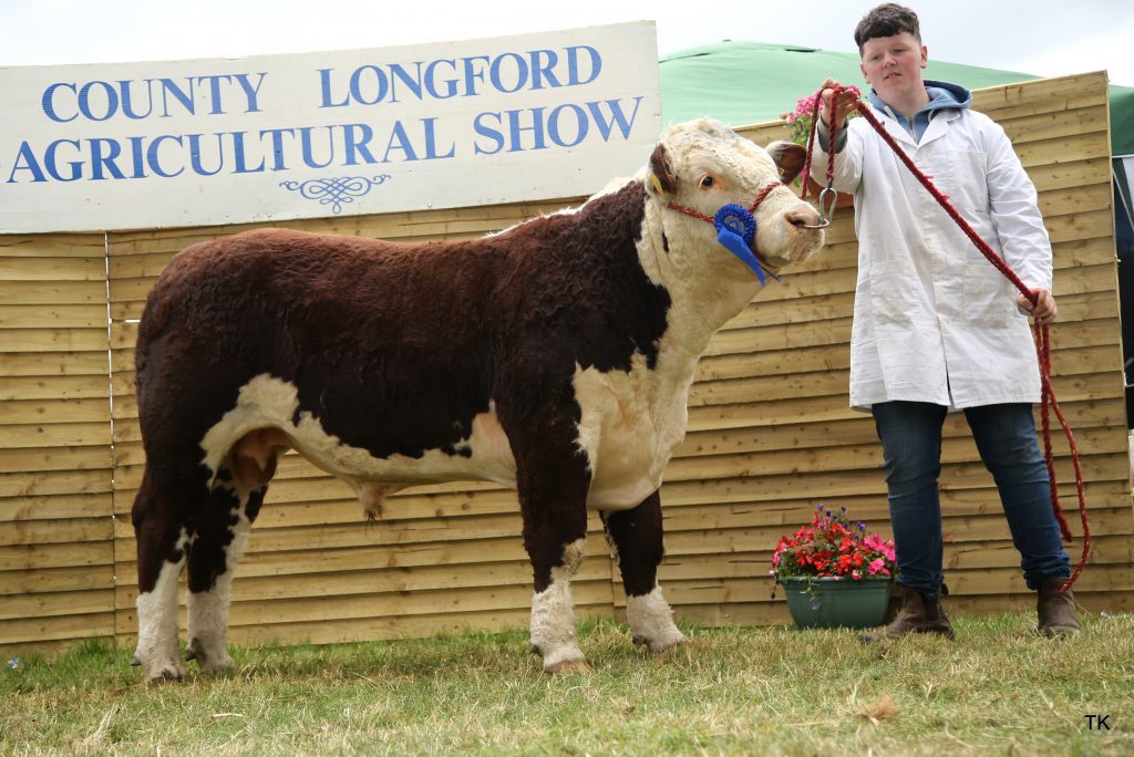 Runner-up in class 52 was Aughavoneen 1 Timmy, bred by Padraig Farrell and shown by Patrick Farrell