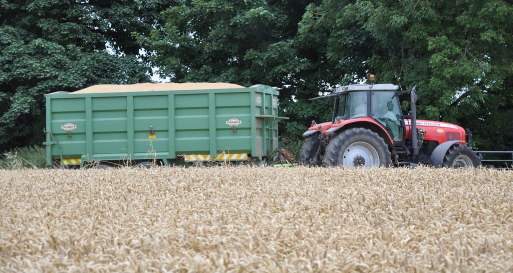 Image source: Shane Casey