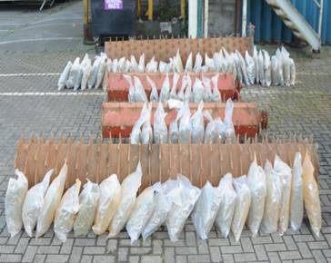 The packages of cannabis seized at Dublin Port