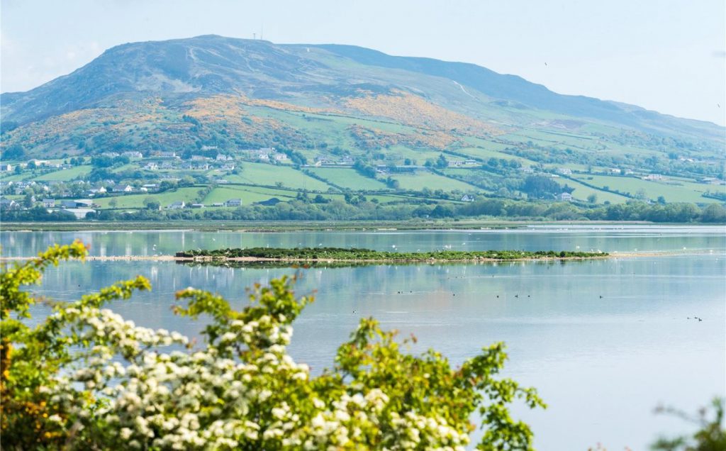 Source: Savills Ireland