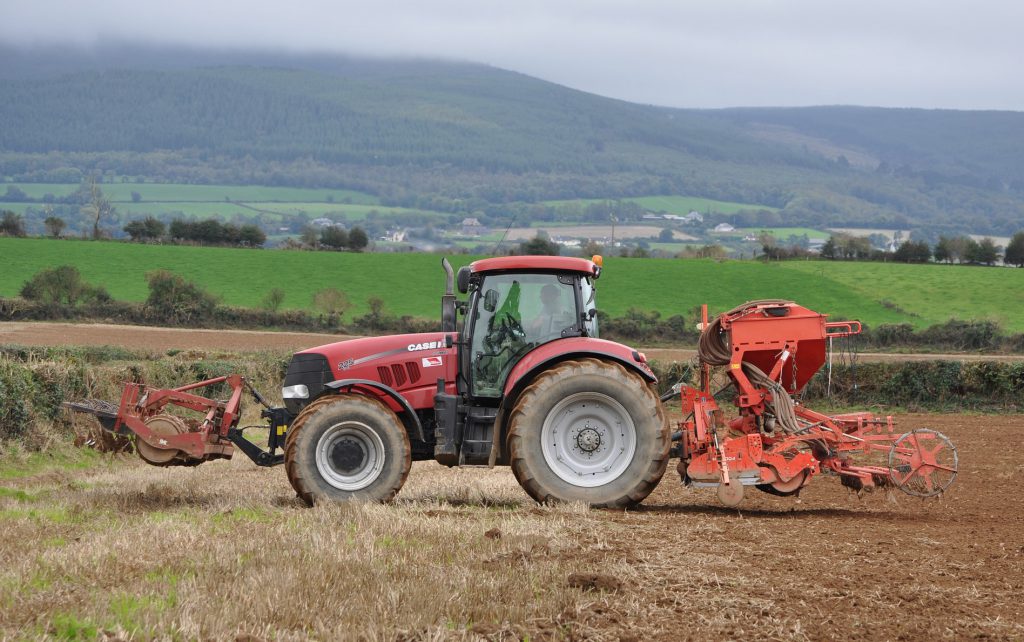 Image source: Shane Casey