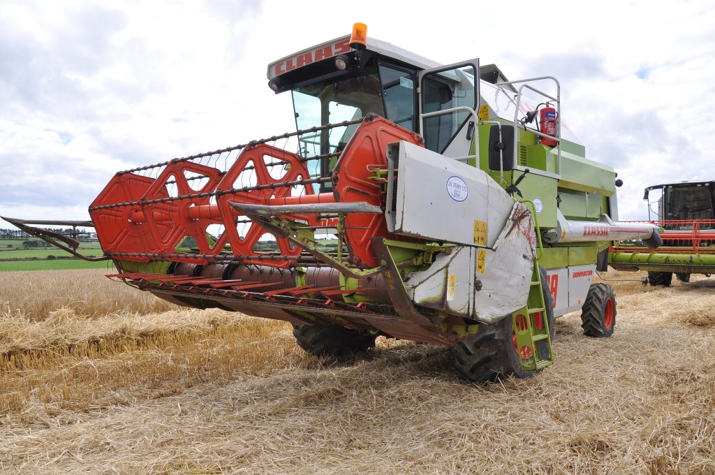 Image source: Shane Casey