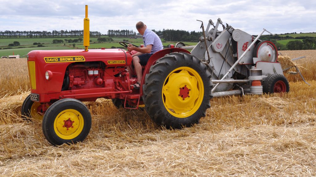 Image source: Shane Casey