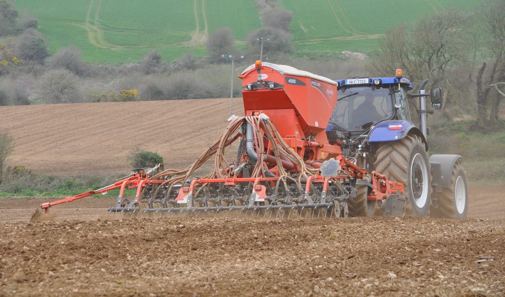 Image source: Shane Casey