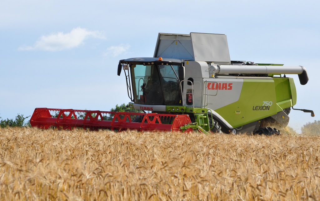 Image source: Shane Casey