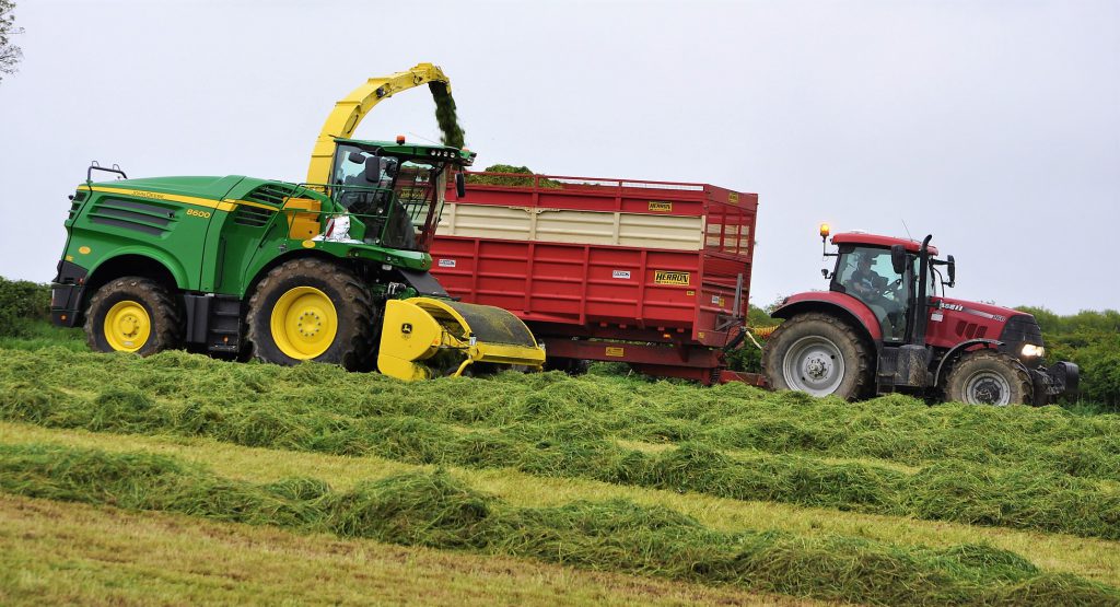 Image source: Shane Casey