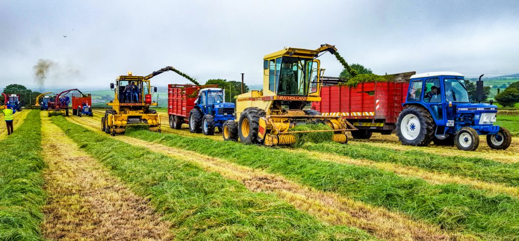 The impressive array of harvesters included an 1880, 1905 and 2200 S. Machines such as the 2200 S were especially popular with contractors here in Ireland during the 1980s and into the 1990s